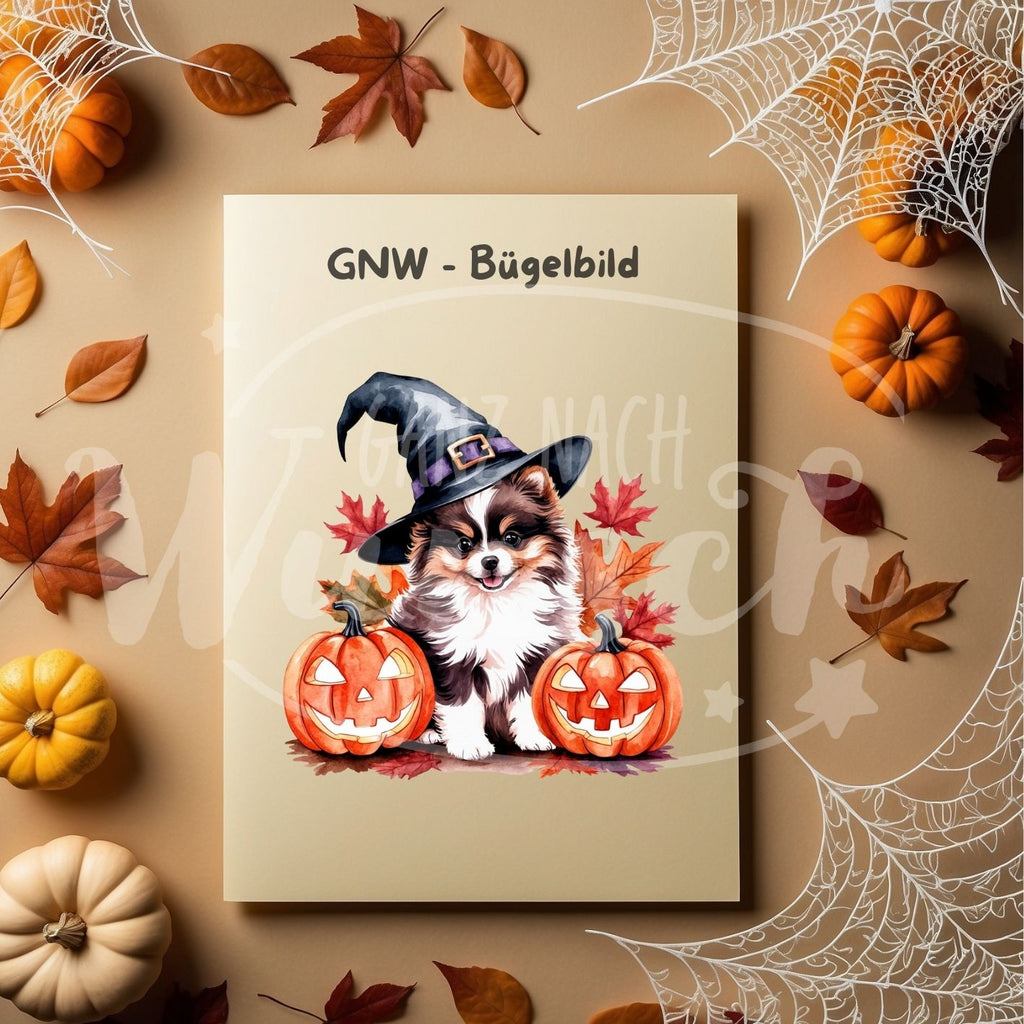 Bügelbild - Kätzchen mit Kürbissen und Hexenhut - Mystisch & Verspielt - GNW_600030