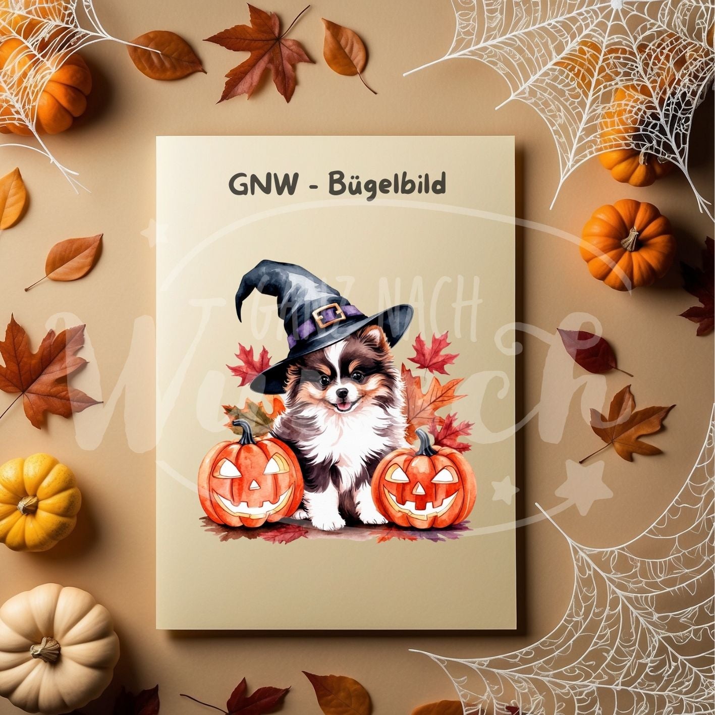 Bügelbild - Kätzchen mit Kürbissen und Hexenhut - Mystisch & Verspielt - GNW_600030