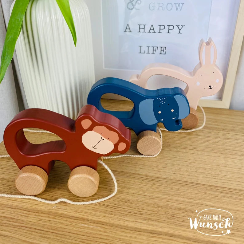 Trixie Holzspielzeug mit Namen Personalisiertes Spielzeug Geschenk zur Geburt Taufe Babyparty Geburtstag Kindergarten Patengeschenk
