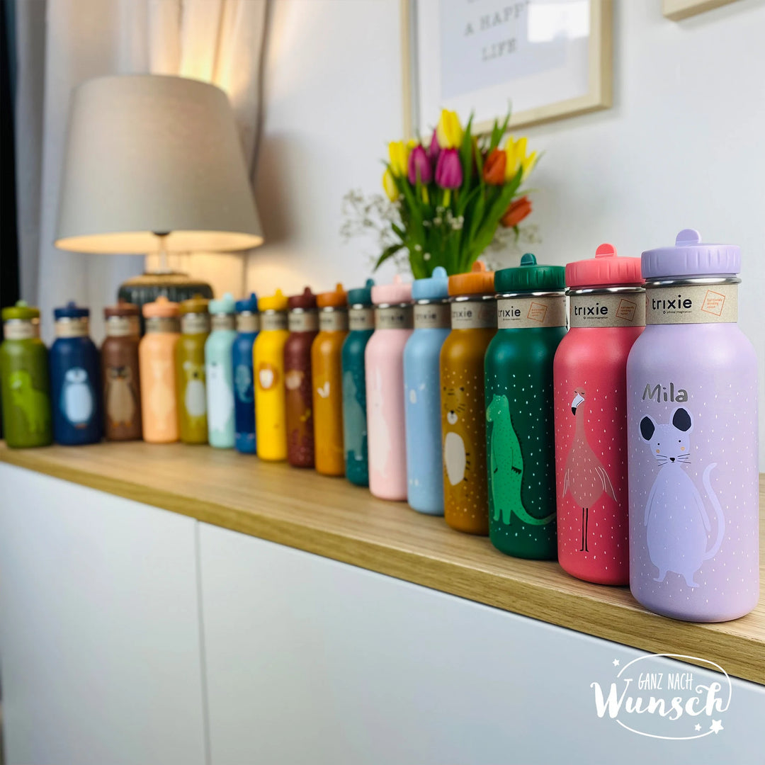 Trixie Trinkflasche 500ml personalisiert mit Namen | Kinder Edelstahl Trinkflasche | GNW
